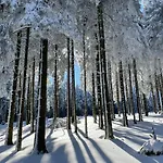 Gipfelglueck * Willingen (Upland)