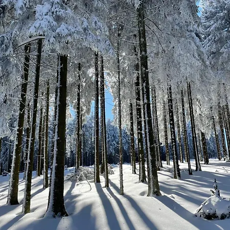 Gipfelglueck * Willingen (Upland)