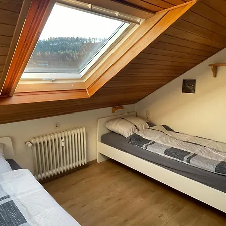Apartament Gipfelglueck Willingen (Upland)